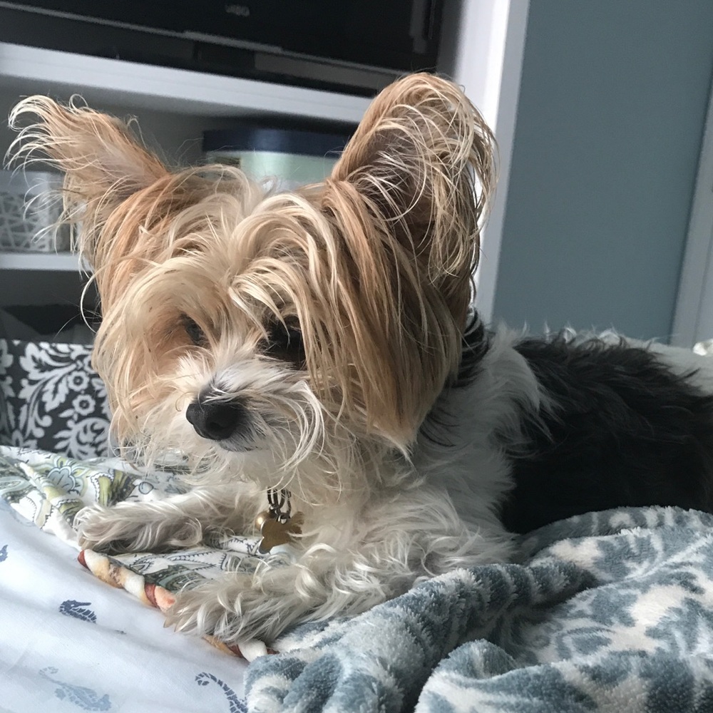 Meet your Posher, Rynee